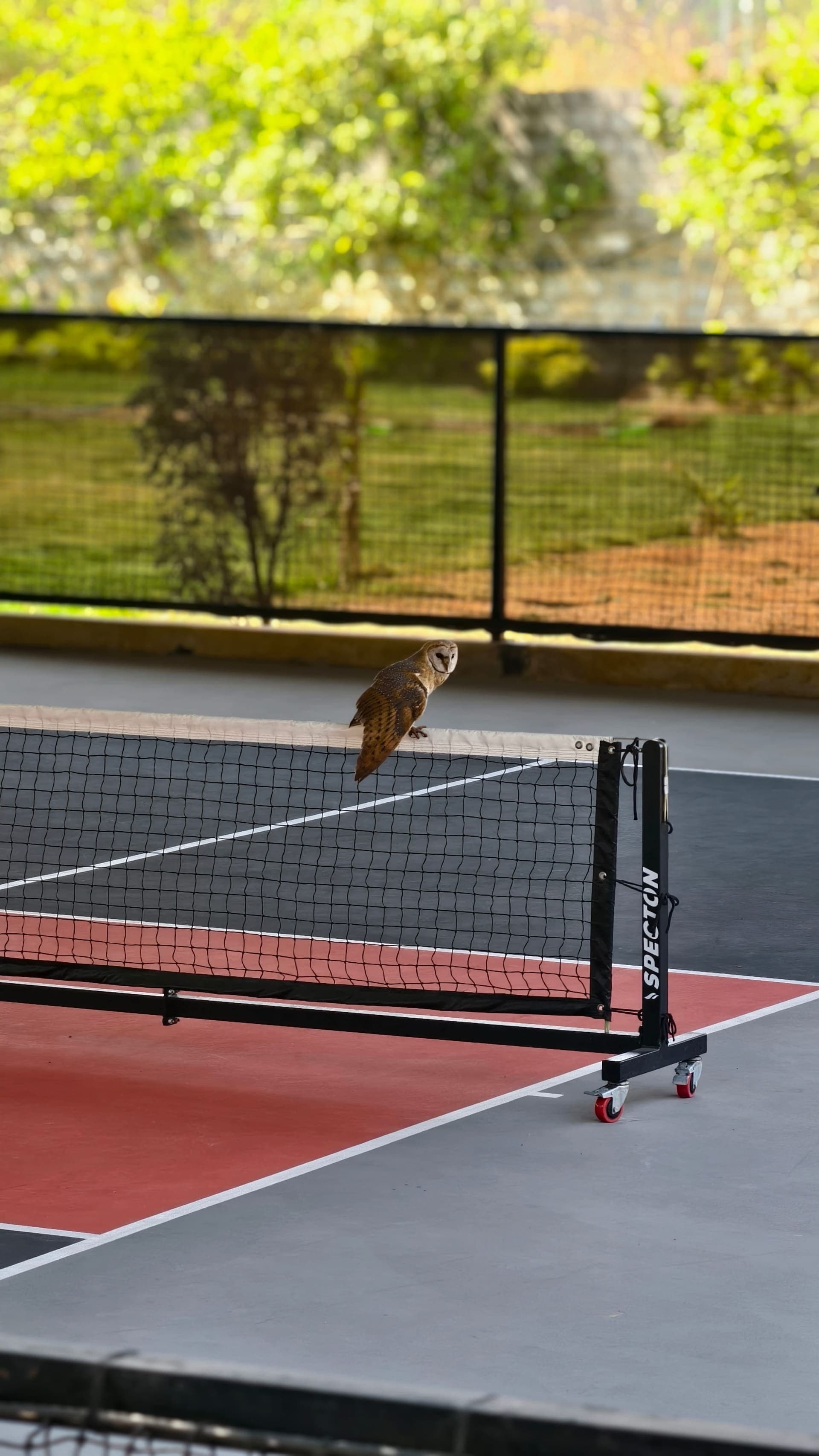 Dinklr built in nature